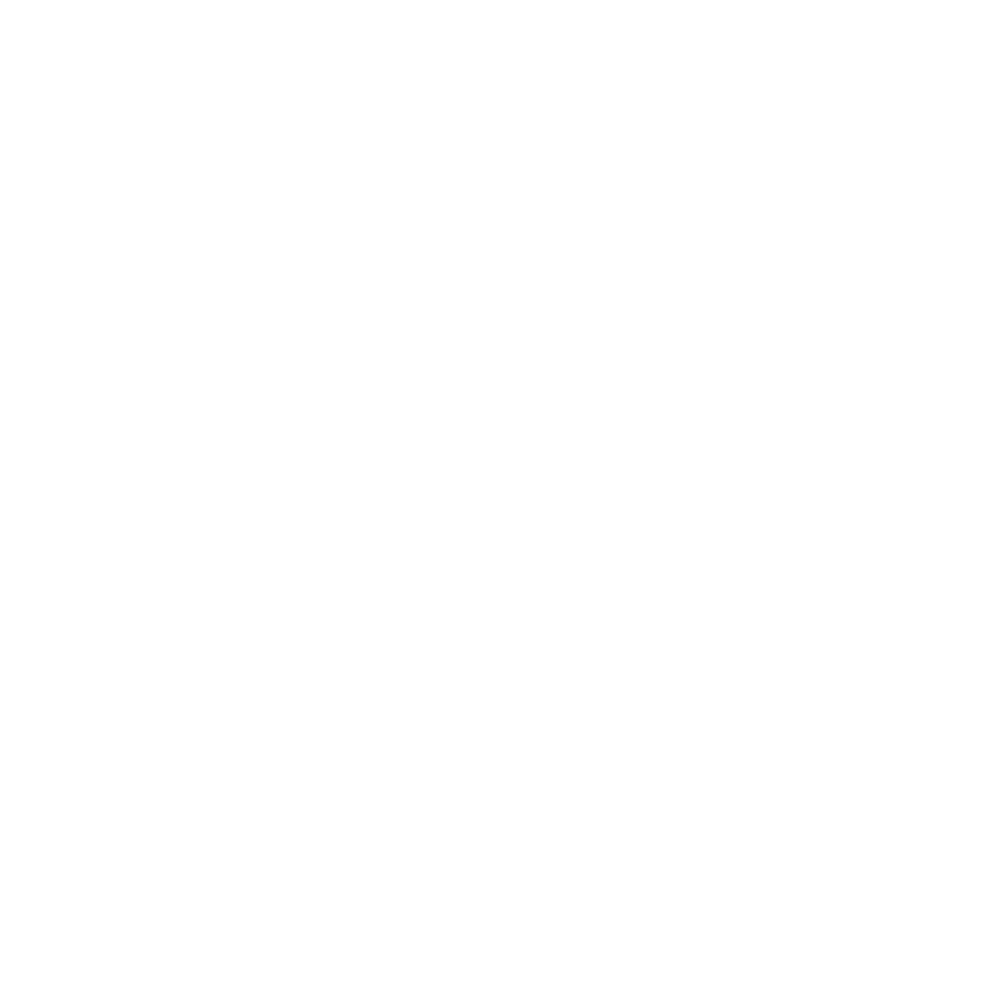 saperis logo white