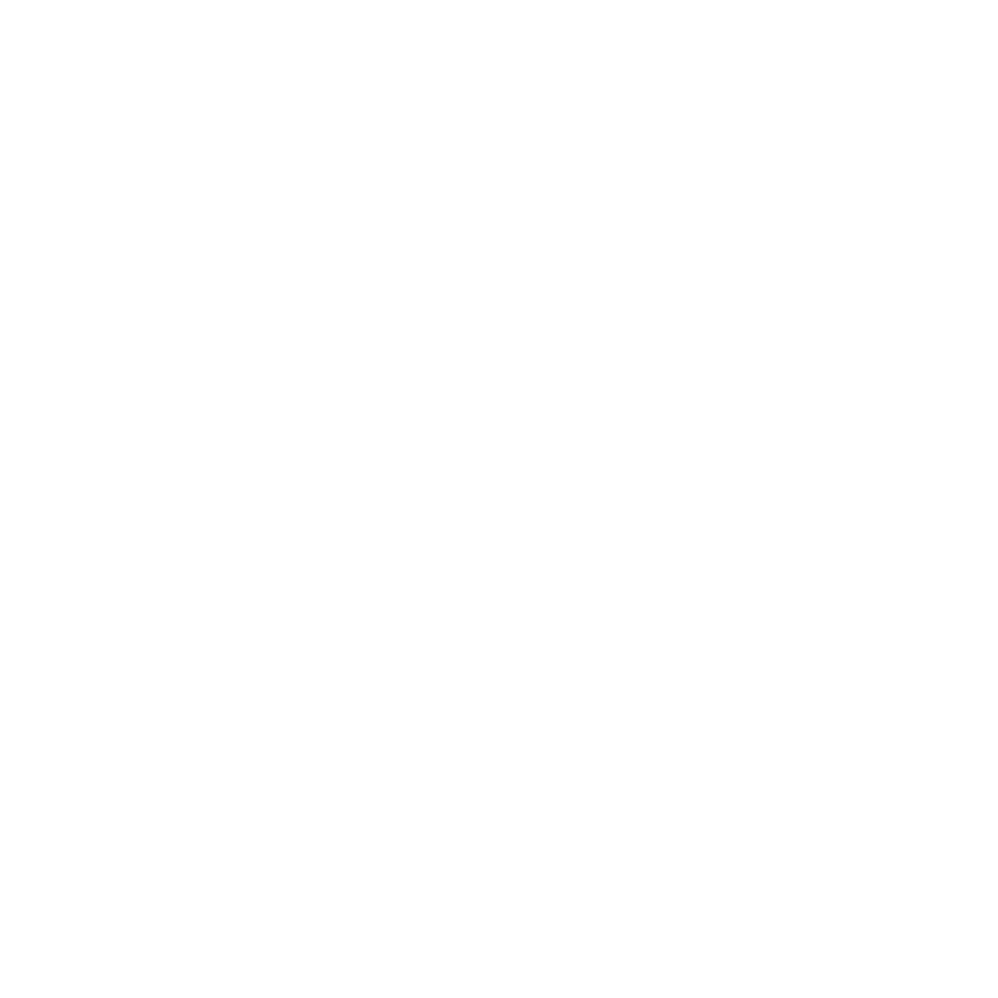 saperis logo white